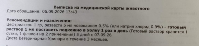Спасти животинку