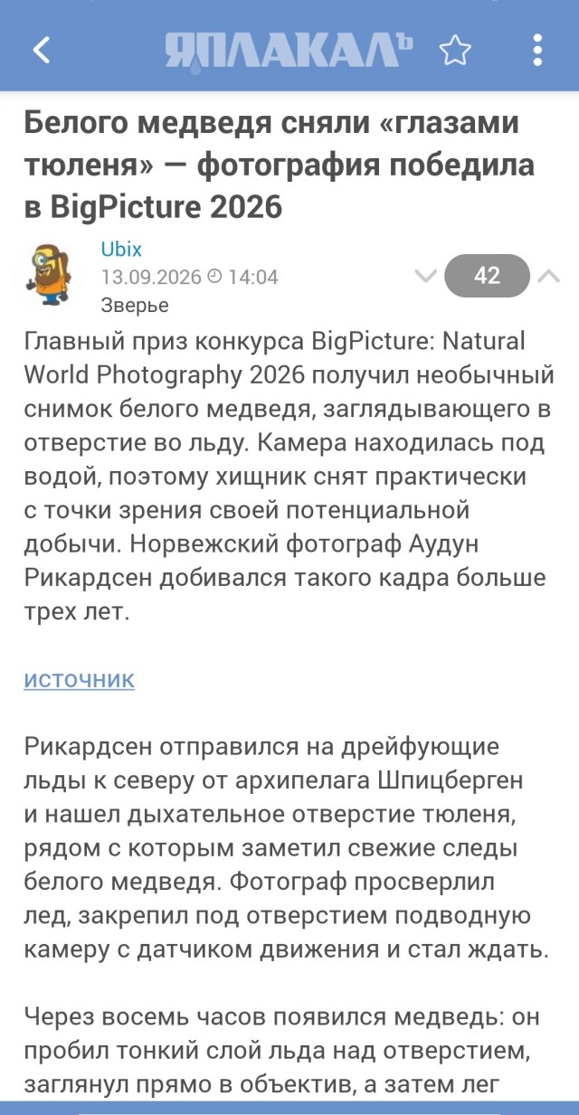 Белого медведя сняли «глазами тюленя» — фотография победила в BigPicture 2026