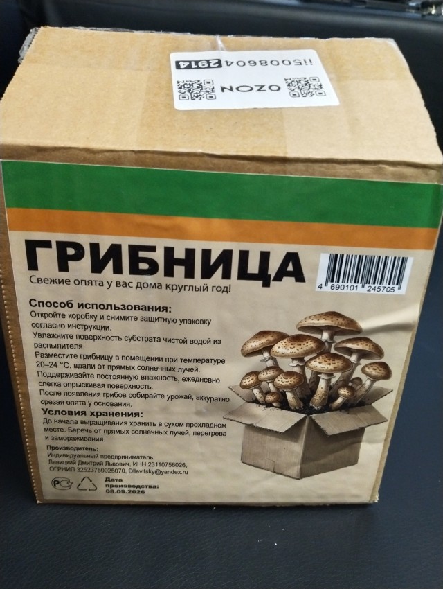 Перевод с женского⁠⁠
