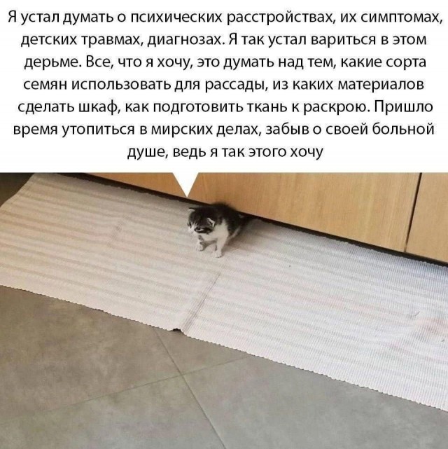 Психомемы-18