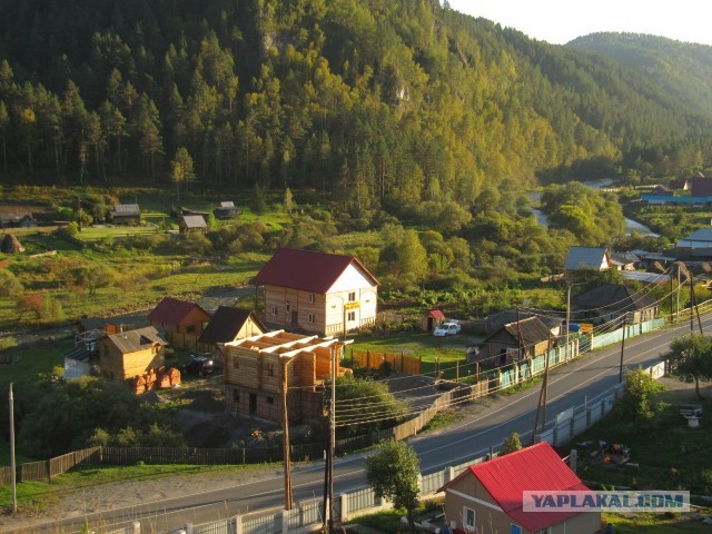 На недельку на Алтай.