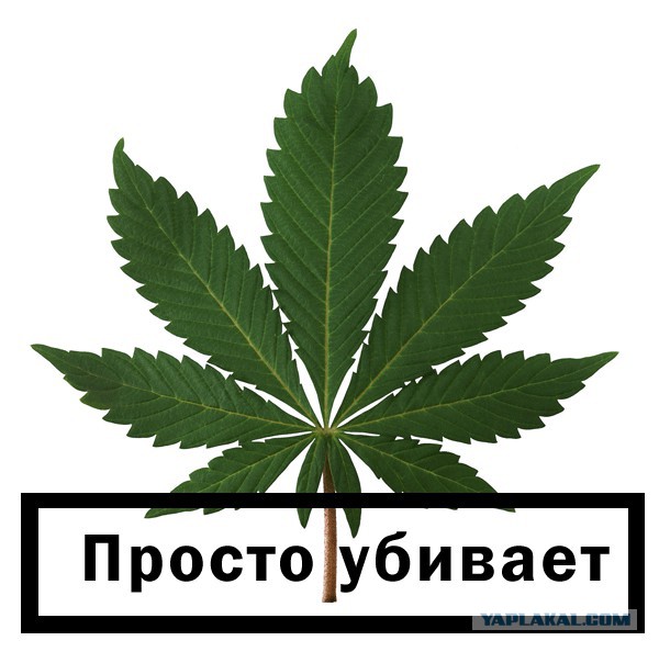 Курение убивает