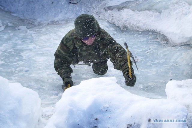 7-я десантно-штурмовая дивизия (горная). Боевая по