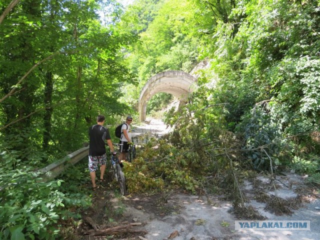 Велопоездка Красная поляна - Адлер