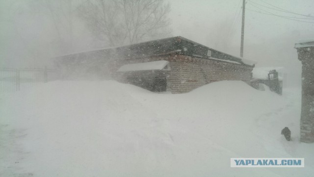 А тем временем в Хабаровске