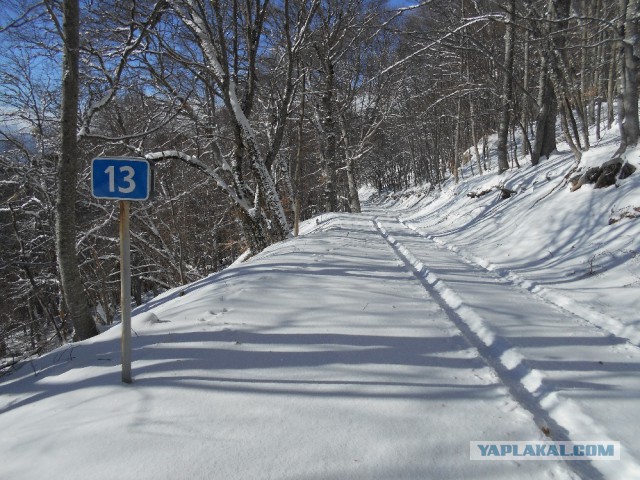 И в Крыму бывает снег