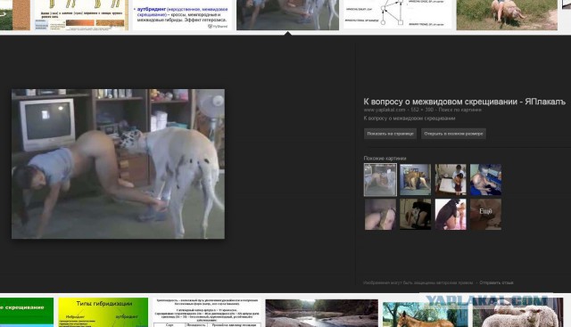 К вопросу о межвидовом скрещивании