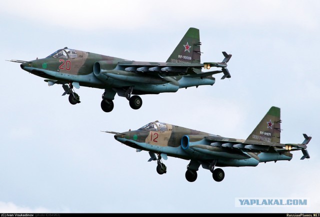 Грачу - 40 лет!