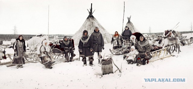 Дары Севера