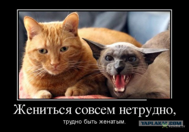Про унылых мужиков