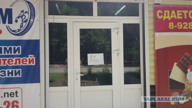Фото не из интернета
