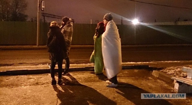Признали виновной в краже собаки-поводыря.