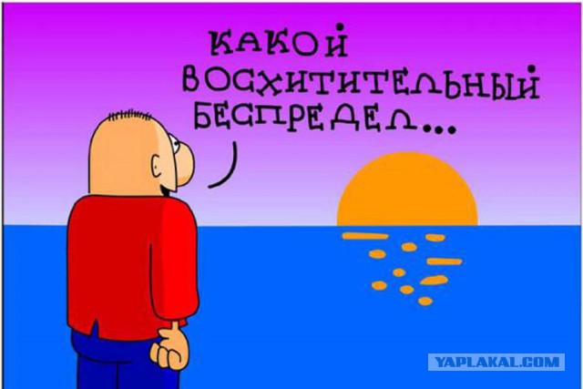 Песков объяснил, почему расследование о семье