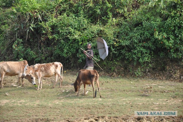 Что такое Бангладеш?