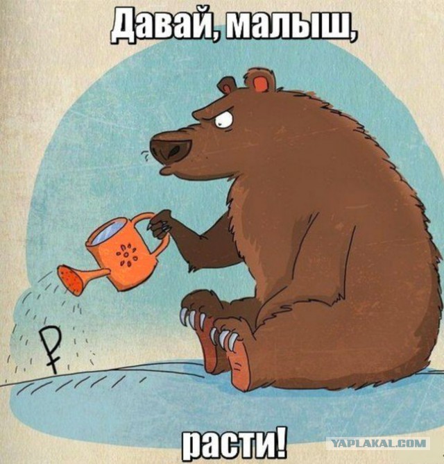 Курс доллара в ближайшее время