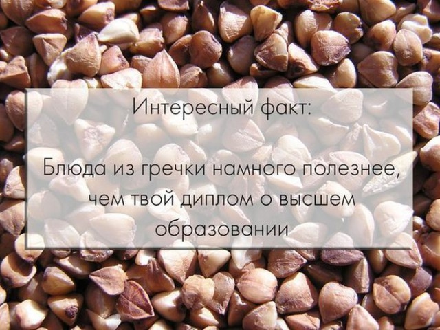 Забавные картинки из Сети