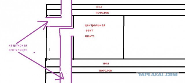 Что можно обнаружить в вентиляции дома в ванной?