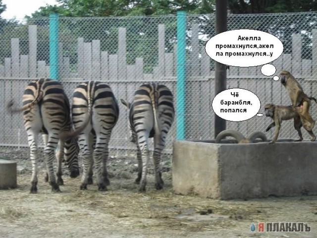 Фотожаба: Невидимый зверь
