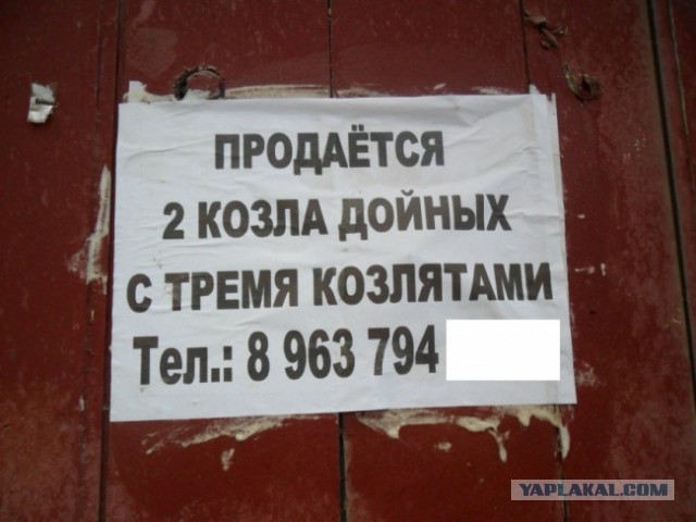 Юмор не для всех