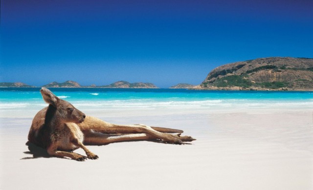 Моменты, запечатлённые на фото и просто позитив 5