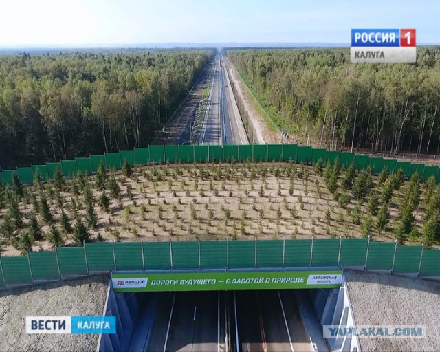 24 экодука со всего мира