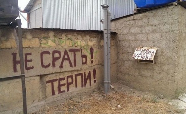 Подборка безудержного веселья