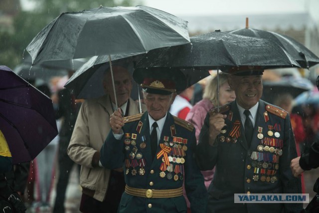 Откуда у вас такие картинки, доктор?