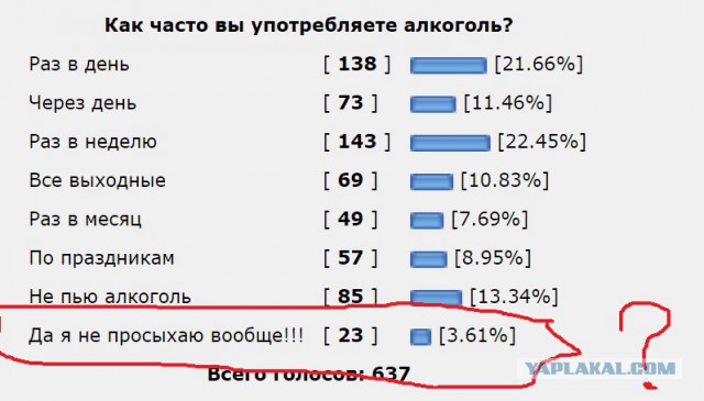 ЯП алкоголизация
