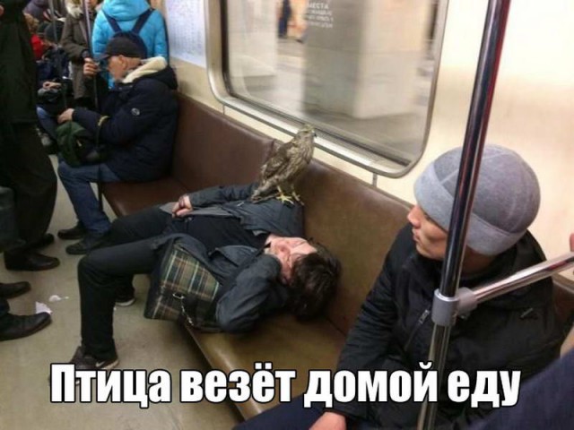 Подборка картинок чисто на поржать 18+