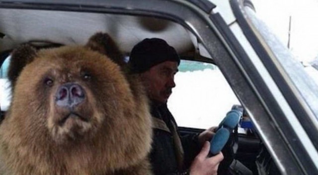Подборка интересных и веселых картинок