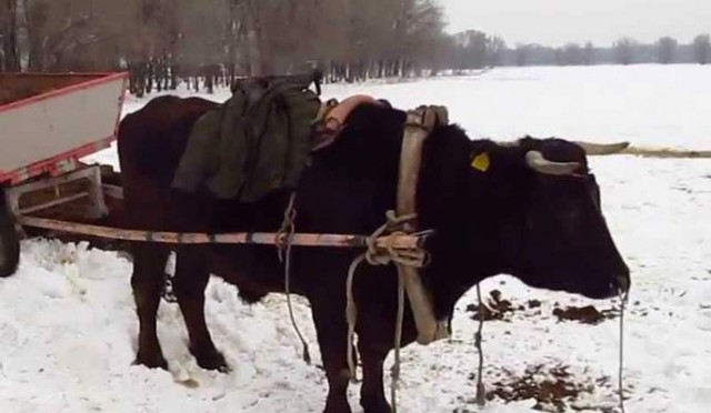 Мистическая Якутия, страшные истории!
