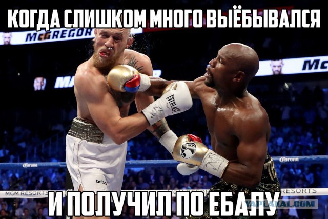 10-летний казахстанец вызвал на бой сыновей Рамзана Кадырова