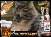 Вейперский клуб - 6