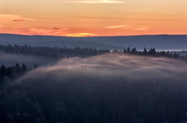 Вечером в тайге