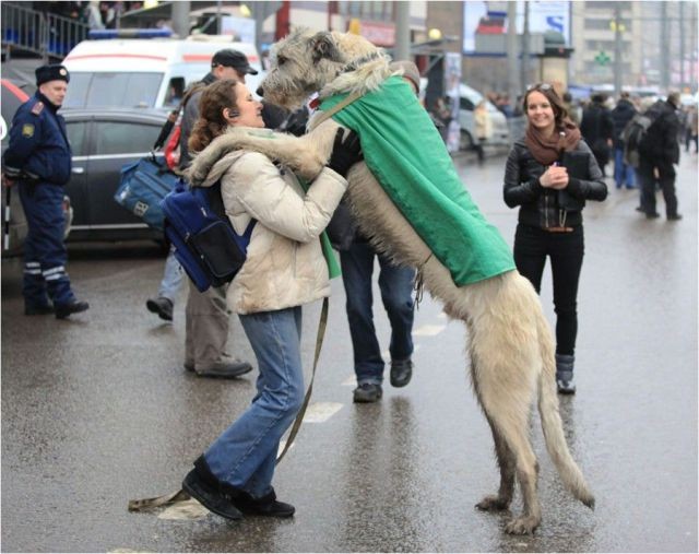 Да вы не бойтесь - она не кусается!