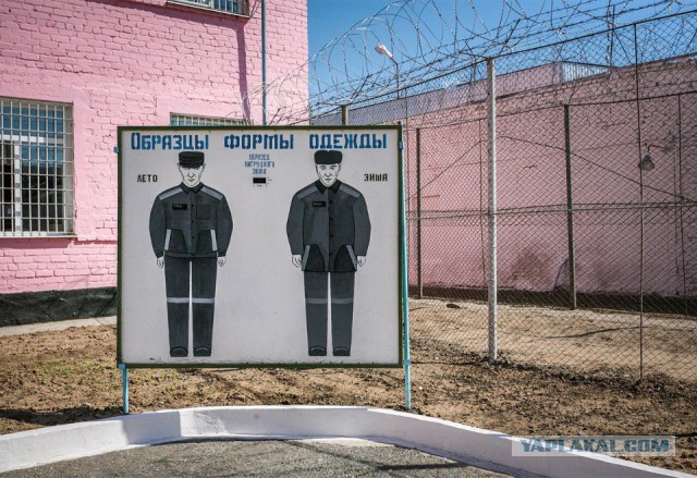 В Думе предложили забирать у не платящих налоги самозанятых весь доход