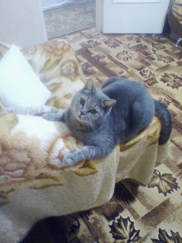 Немного милоты