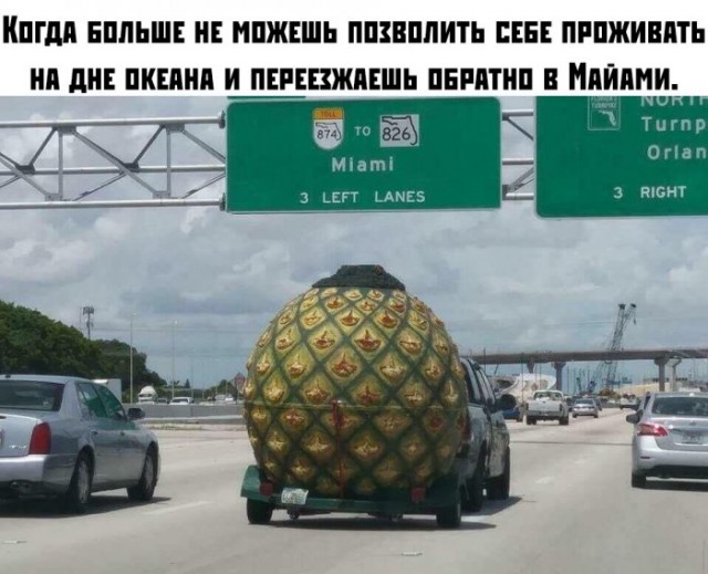 Картинки на воскресный день