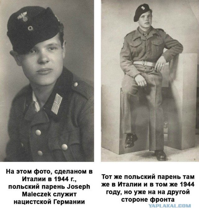 Die Zeit: в «борьбе против лжи» Польша запретит России трактовать историю по-своему