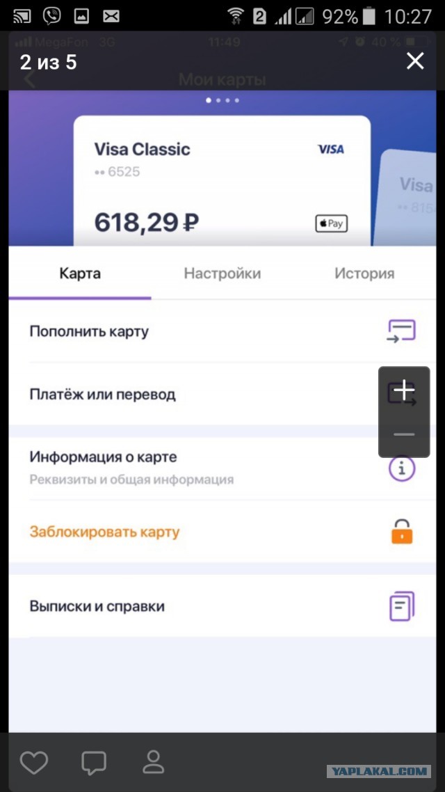 Помогите вернуть кота! Приют "Преданное сердце" украл кота и не отдает!-2