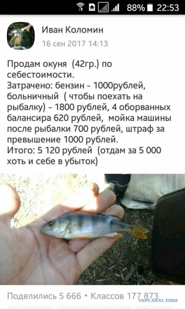 Почему женщины относятся с недоверием к холостякам старше 40 лет?
