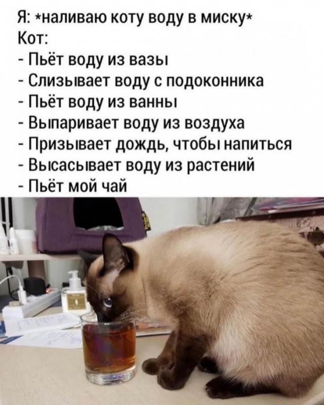 Немного картинок для настроения 12.03.20