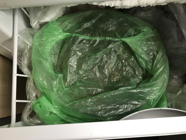 Суточные щи