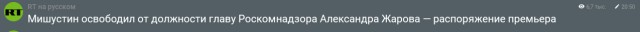 Мишустин утвердил состав координационного совета по борьбе с COVID-19