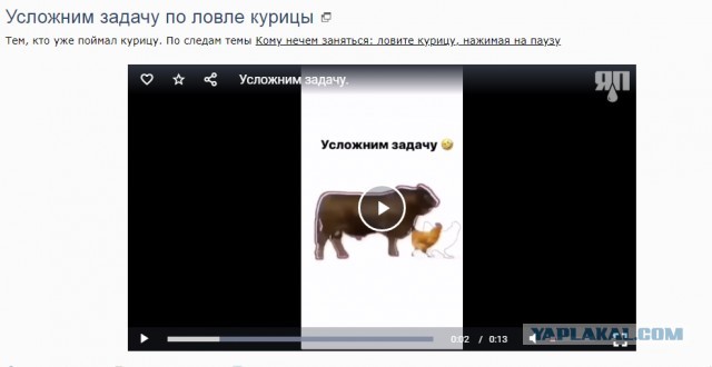 Усложним задачу по ловле курицы