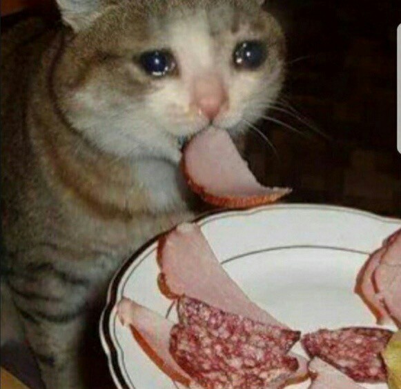 Селёдка