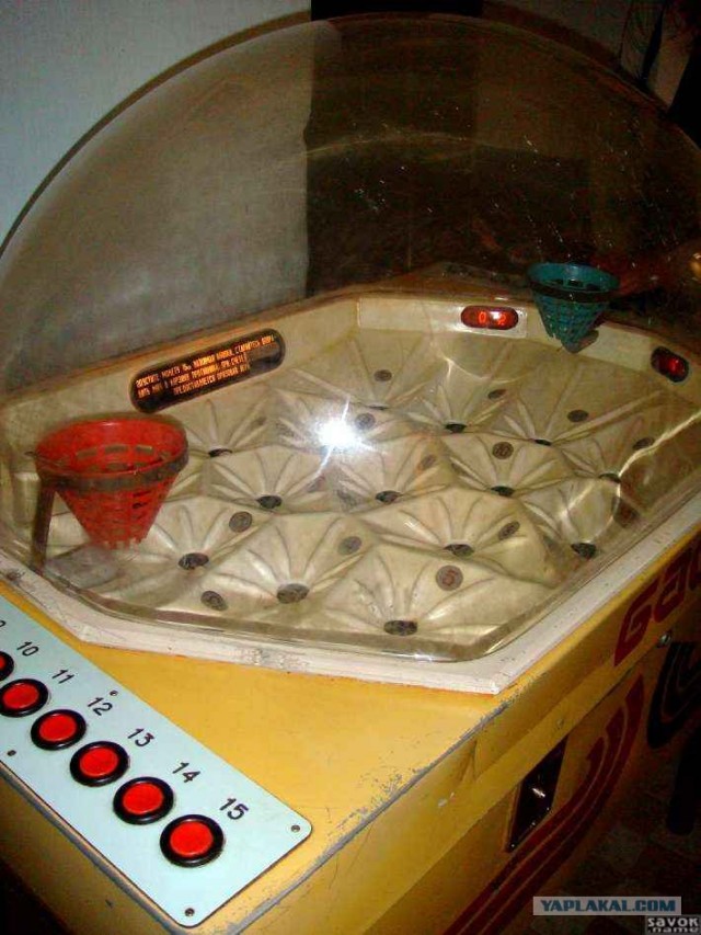 На что ты готов ради вкусняшки?