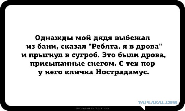 Только что в Северной столице