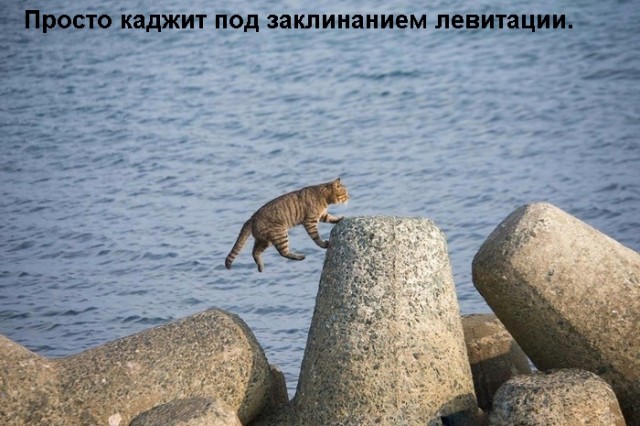 Картинки и мемы для настроения 18.06.2021