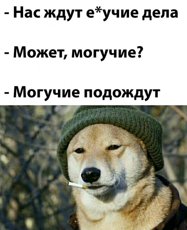 Картинки и мемы для настроения